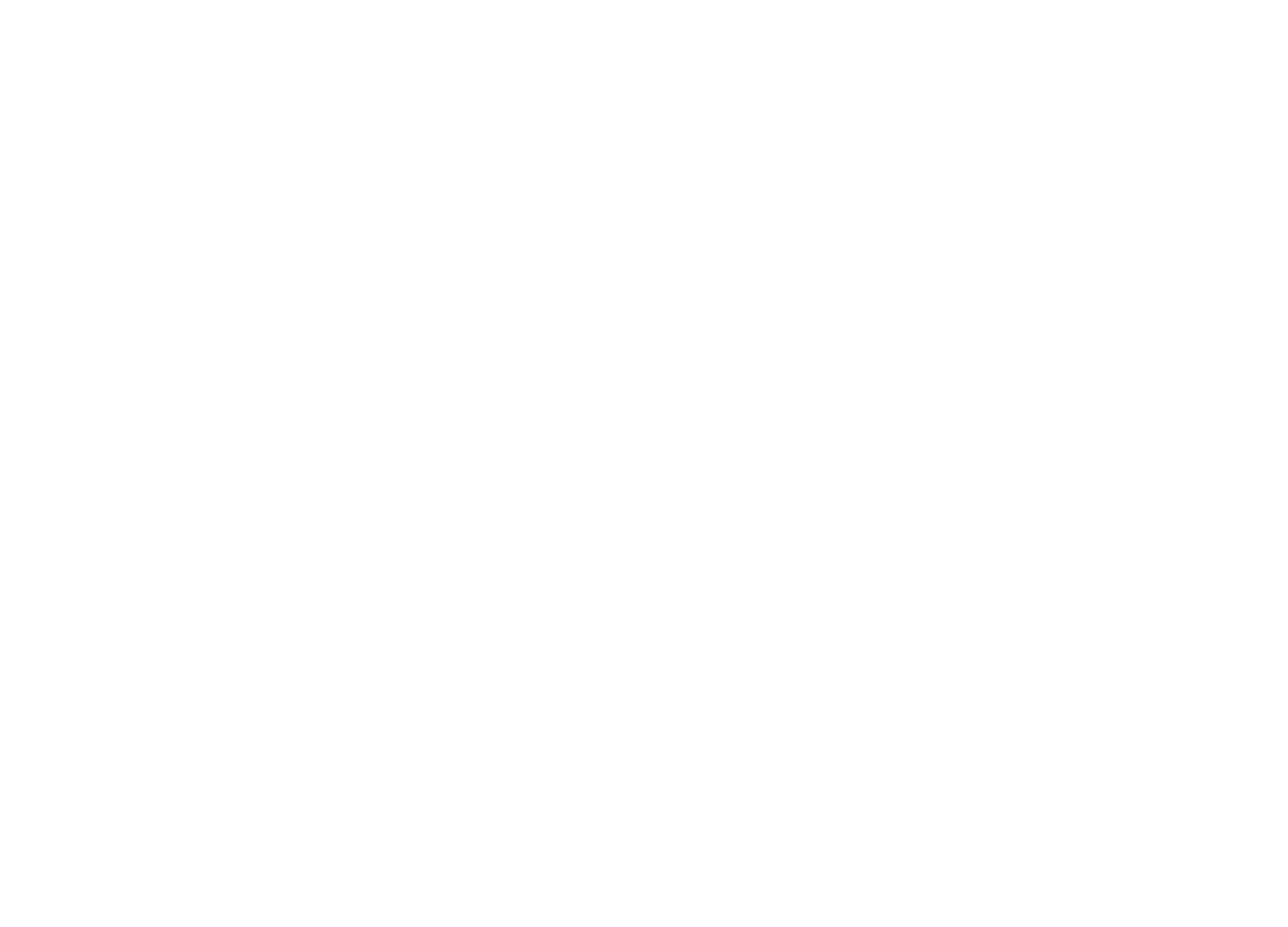 PIKNER GROUP
